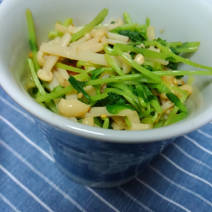 レンジで簡単　豆苗えのきのポン酢和え